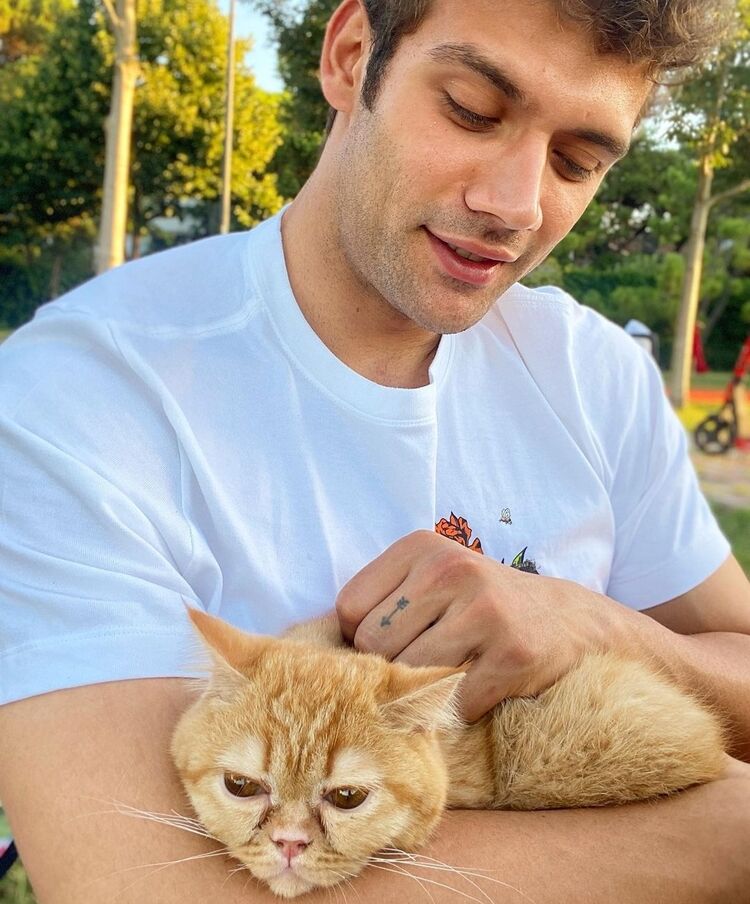 ���������� �����������, ���� ����� ����, 25 ���, ������������ ��� ������, ����� � ���������