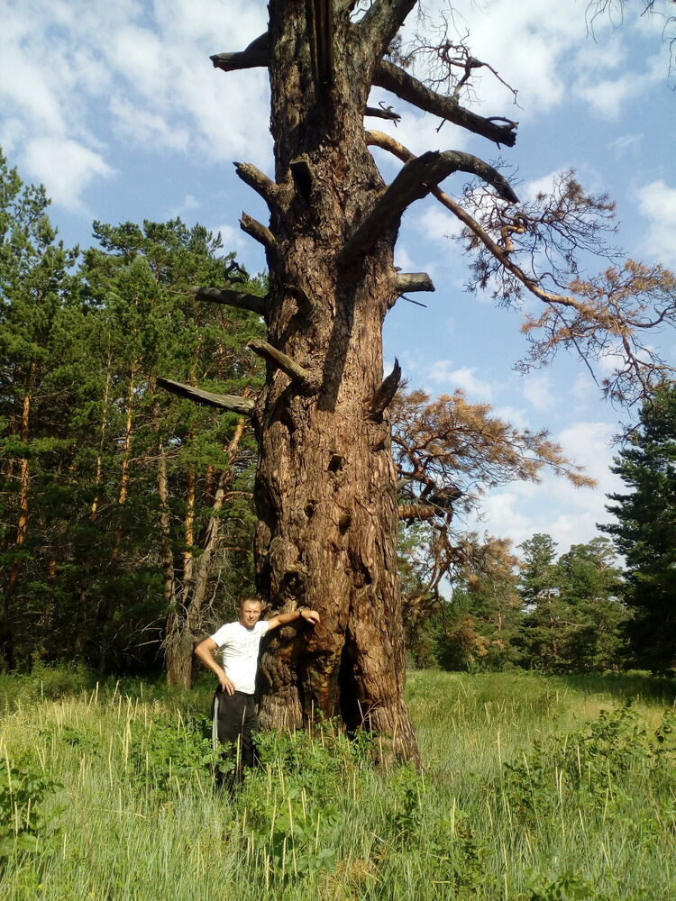 ���� 23634005 ������� ������, 46 ���, ���� ���������� � �����