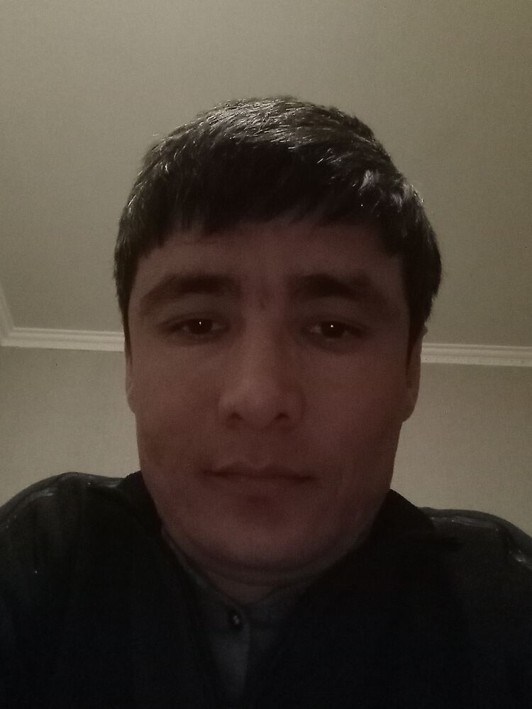  41497755  , 31 ,    