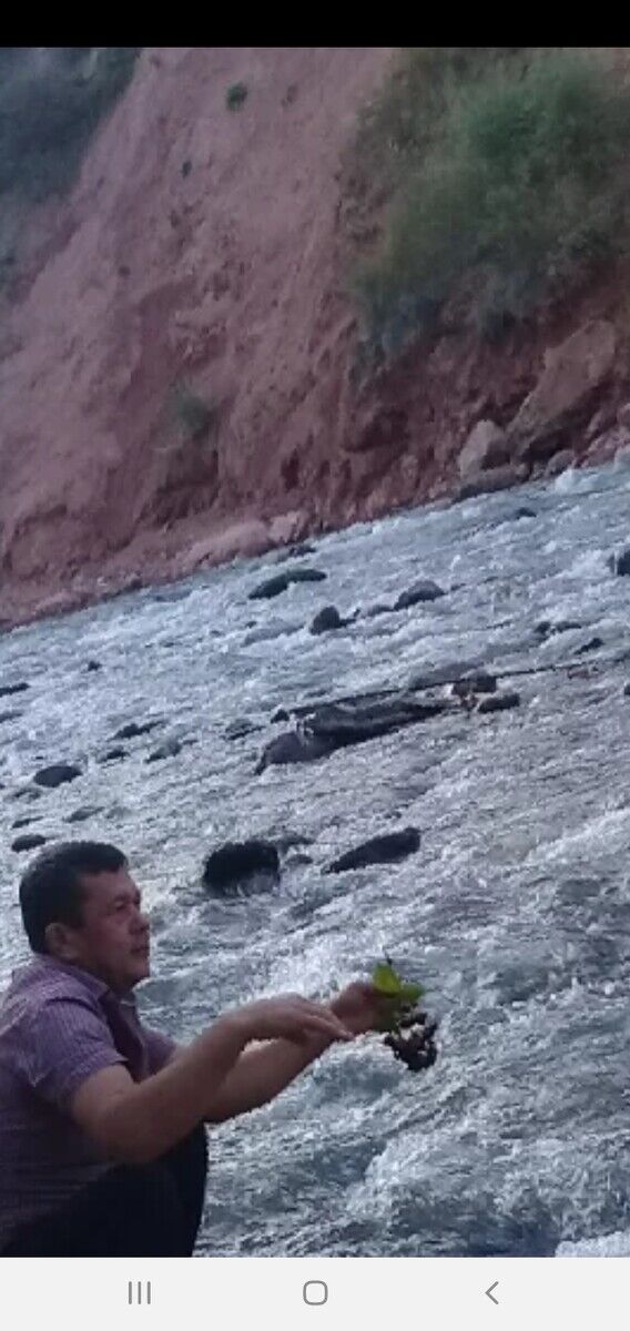 ���������� �����, ���� ������� ����, 49 ���, ������������ ��� ������, ����� � ���������, c�������� ���������