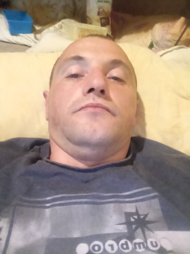  23900165  , 41 ,    