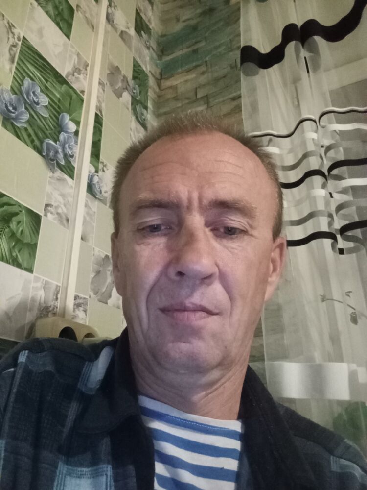  53955505  , 49 ,    