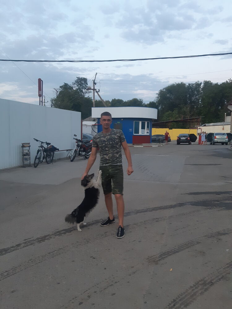  ,   , 41 ,   ,   , c , 