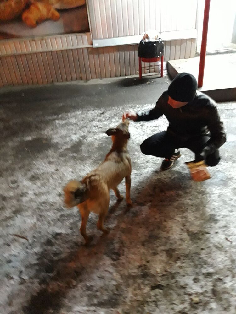 ���������� ���������, ���� ������� ������, 30 ���, ������������ ��� ������, ����� � ���������