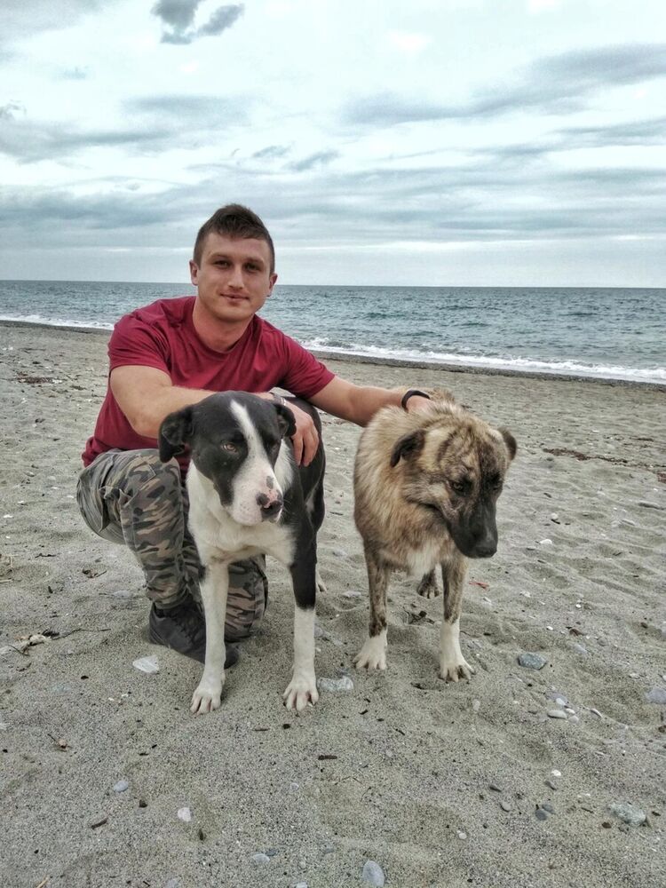  ,   Viorel  vlad, 34 ,   ,   , c 