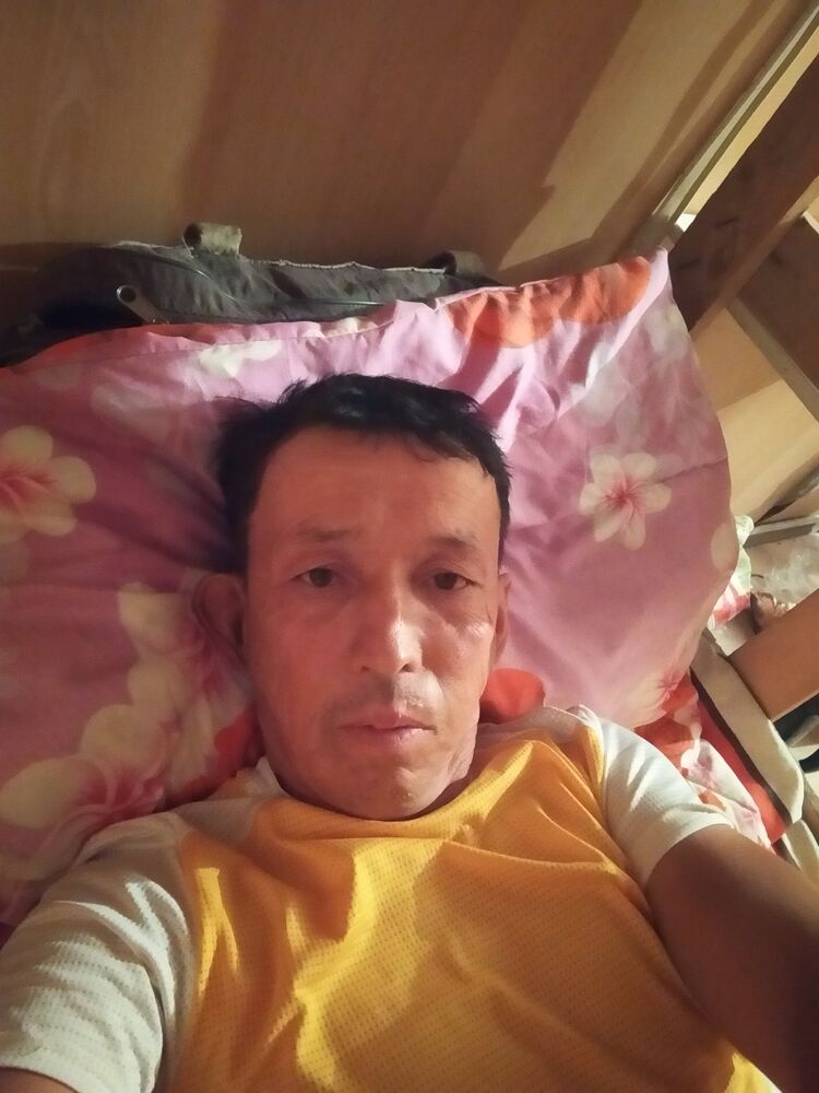  52958675  , 50 ,    