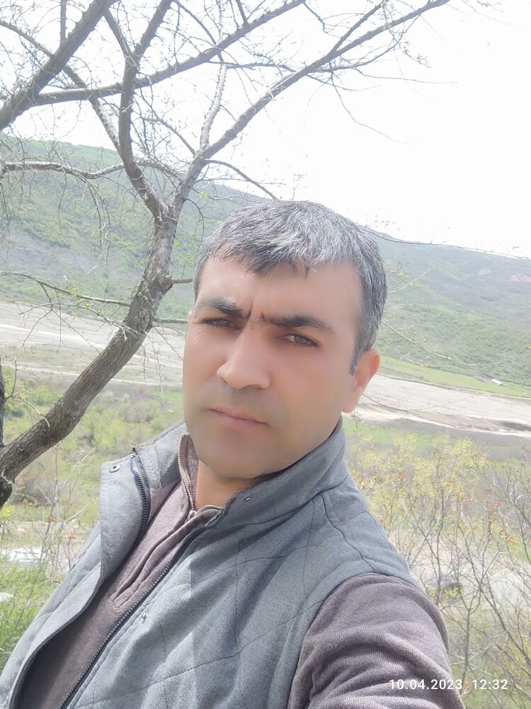 ���� 35675505 ������� Sadi, 40 ���, ���� ���������� � ����