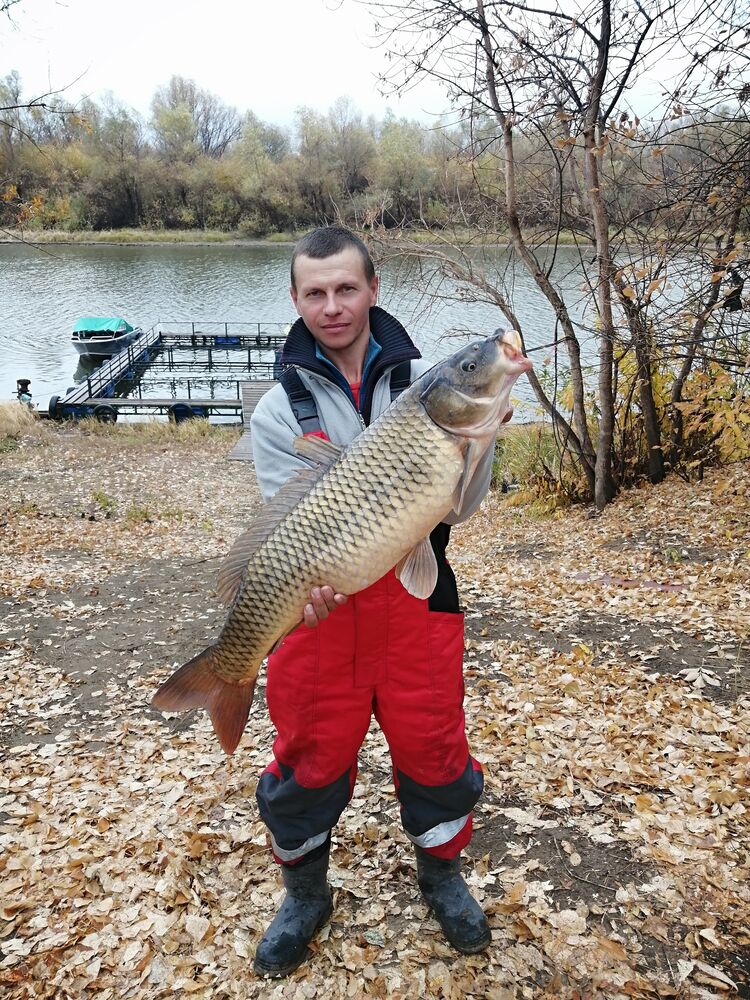  ,   Sergey, 42 ,   ,   , c 