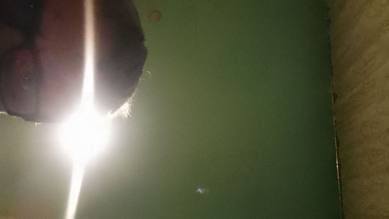 ���� 54352465 ������� Valera, 45 ���, ���� ���������� � ����������