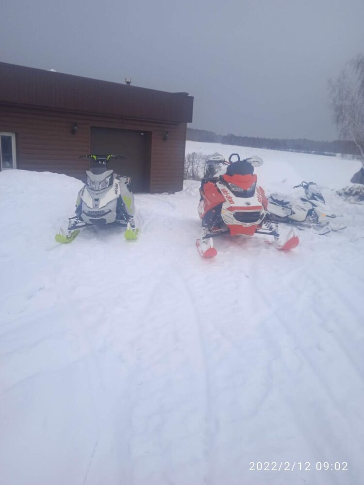 ���� 25858975 ������� �������, 36 ���, ���� ���������� � ����