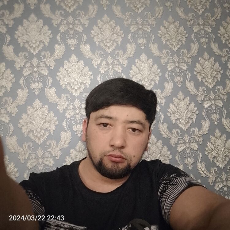  42975465  , 31 ,    