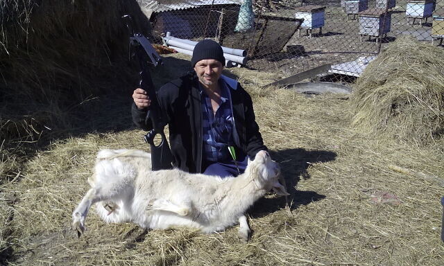  20678265  , 52 ,    --