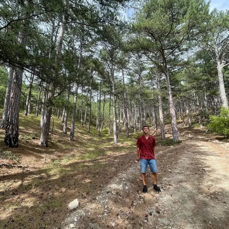 ���� 48066615 ������� ����, 28 ���, ���� ���������� � ������