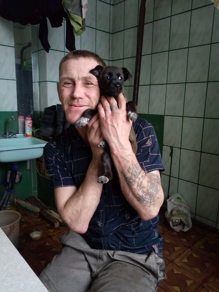 ���� 42047875 ������� ������, 38 ���, ���� ���������� � ������������