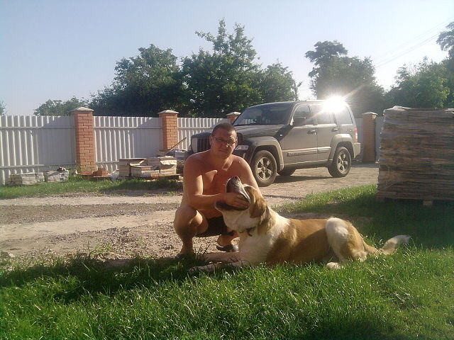 ���������� �������, ���� ������� �����, 43 ����, ������������ ��� ������, ����� � ���������, c�������� ���������