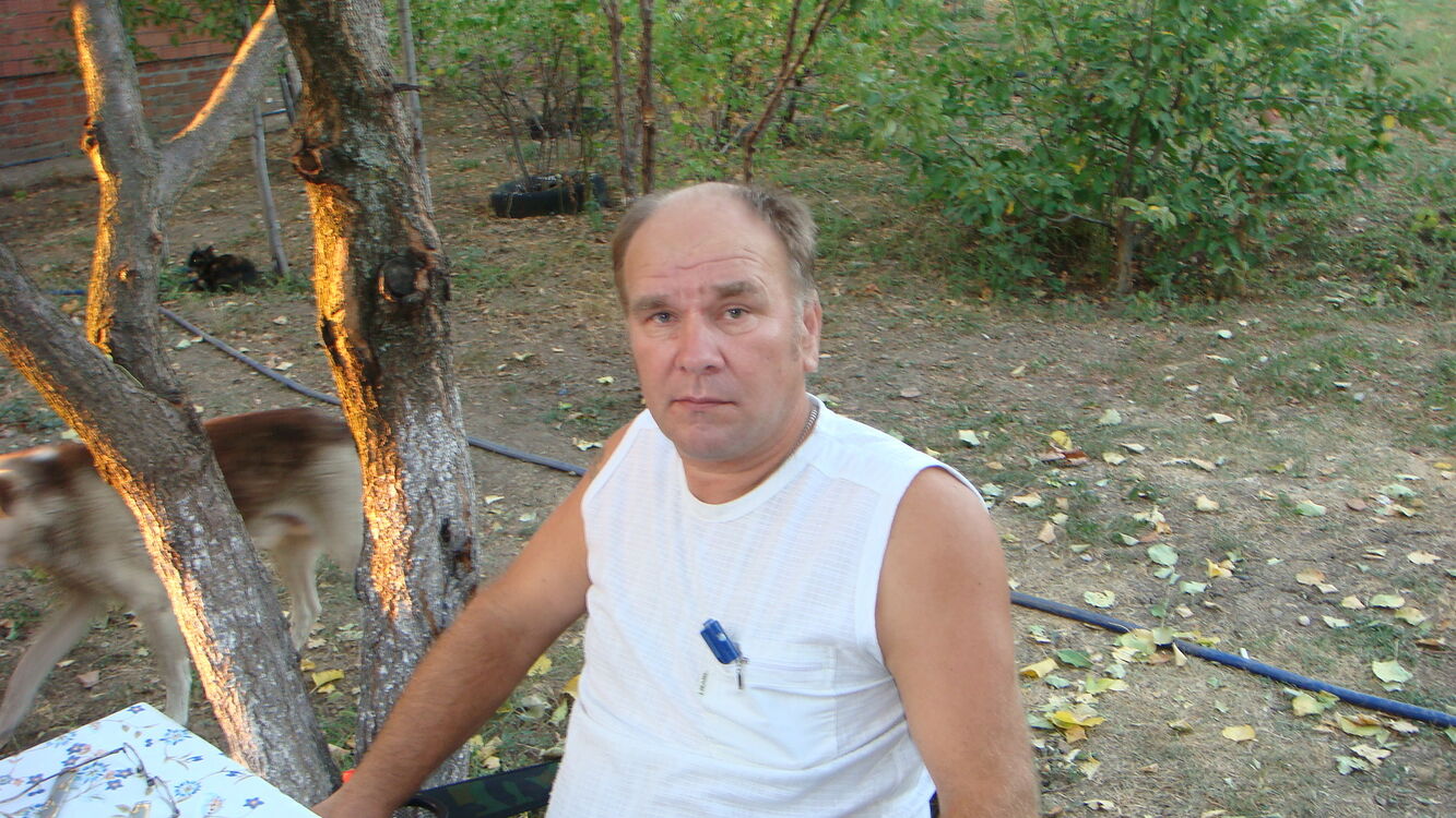 ���� 46245685 ������� ���������, 67 ���, ���� ���������� � ����������