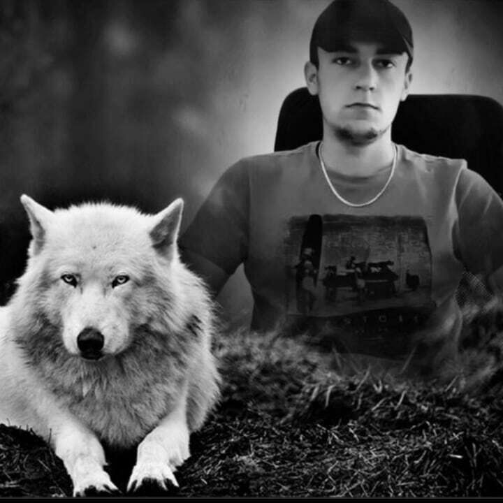 ���� 49272045 ����� Shah, 25 ���, ���� ���������� � ������