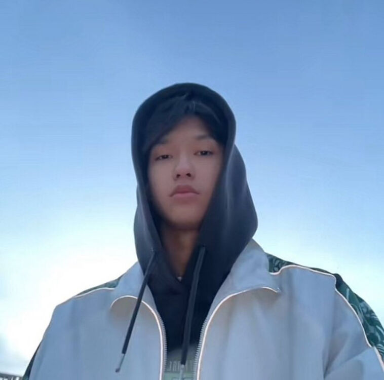 ���� 42976025 ����� Levinn, 20 ���, ���� ���������� � ����������