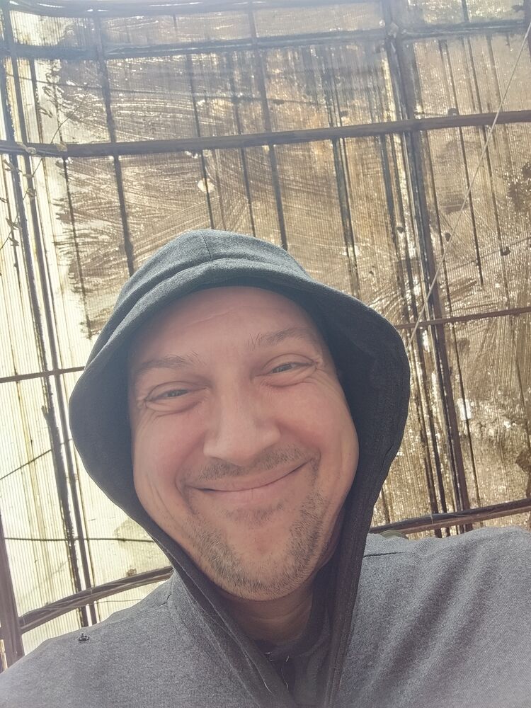 ���� 56211085 ������� ����, 41 ���, ���� ���������� � ���������