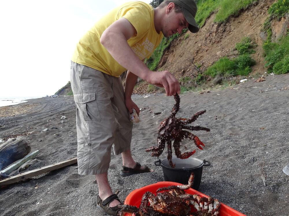  11209395  , 42 ,    -