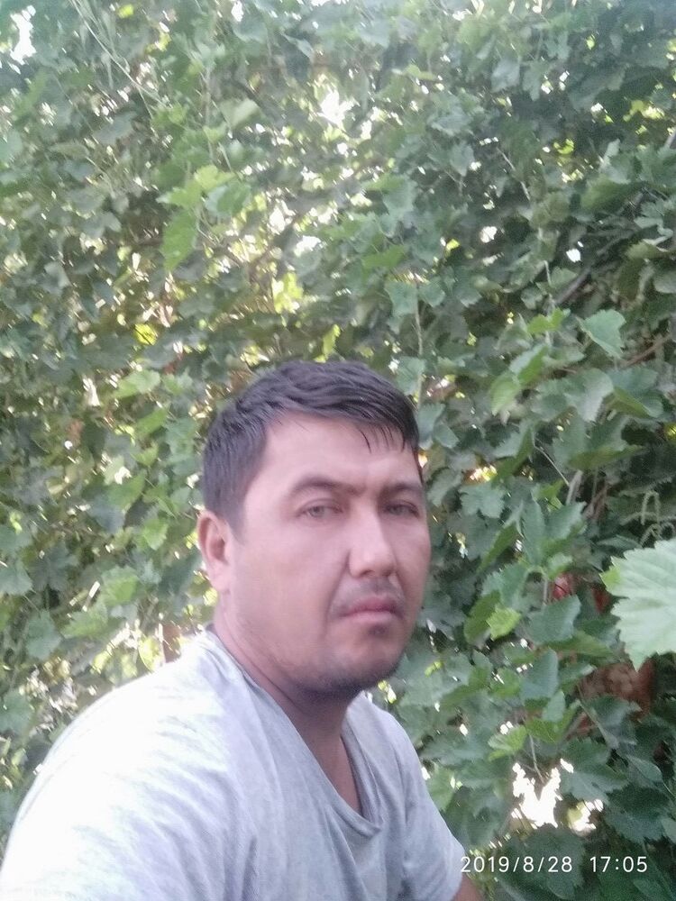  ,   Sunnat, 40 ,   ,   , c 