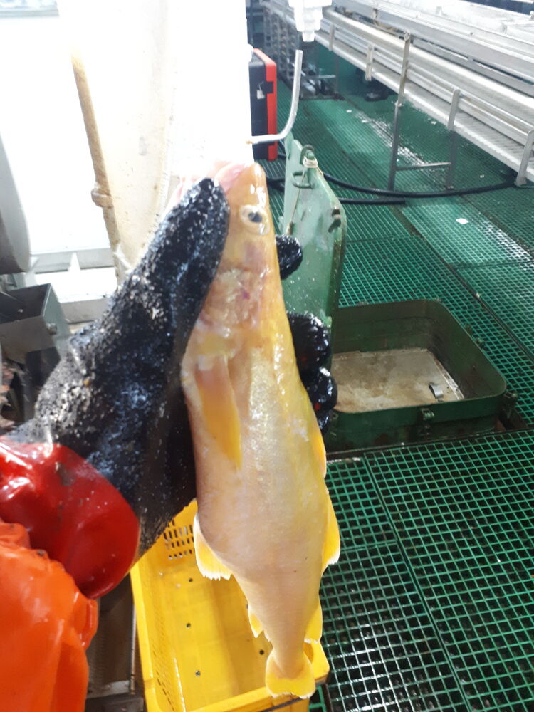  ,   , 30 ,     , c 