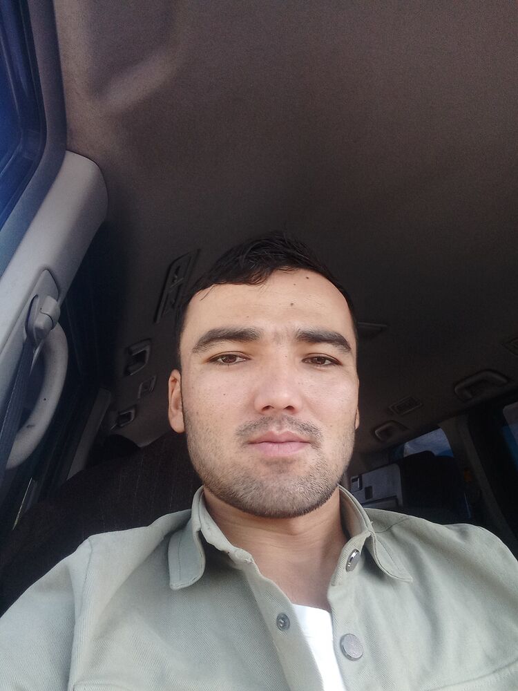  53291735  , 28 ,    