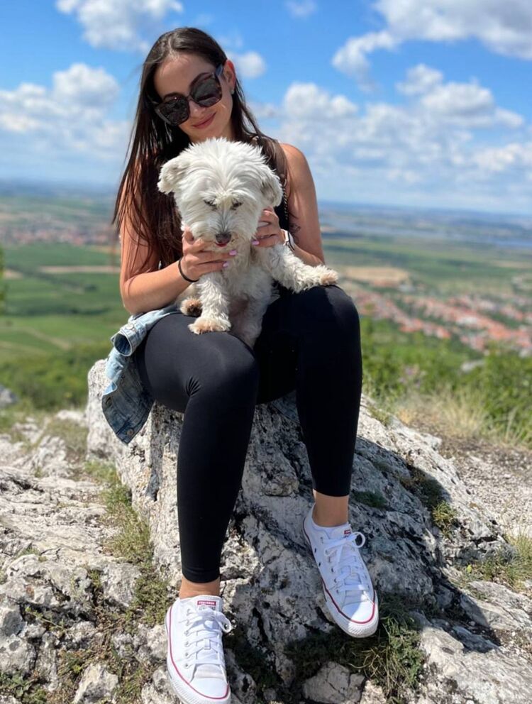 ���� 53201995 ������� ���������, 30 ���, ���� ���������� � ��������