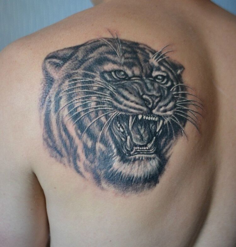 ���������� ������, ���� ������� ����, 38 ���, ������������ 