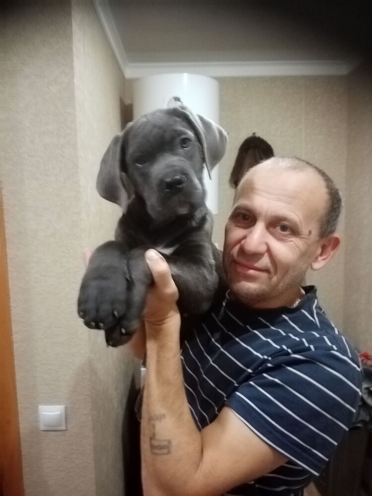 ���������� ���������, ���� ������� ���������, 55 ���, ������������ ��� ������, ����� � ���������