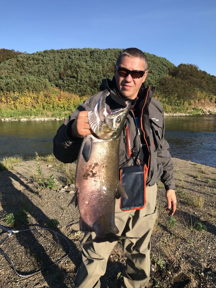 ���������� �����-���������, ���� ������� �������, 39 ���, ������������ ��� ������, ����� � ���������, c�������� ���������