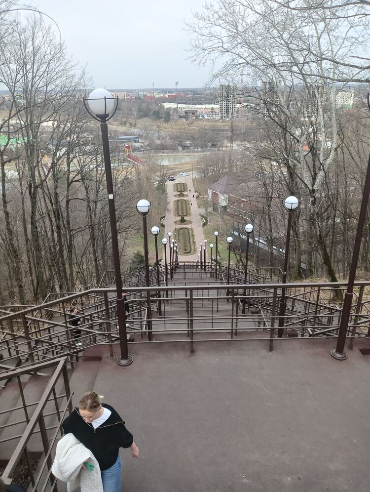  34585445  , 42 ,    