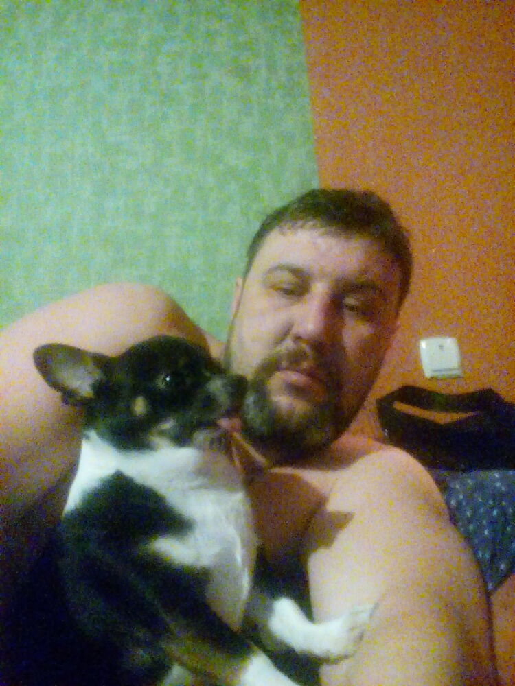  ,   , 44 ,   
