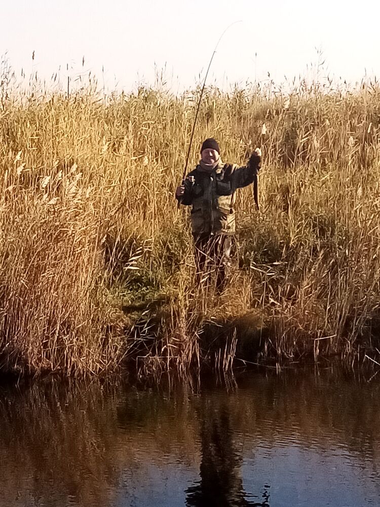 ���� 25665065 ������� ���������, 49 ���, ���� ���������� � �����