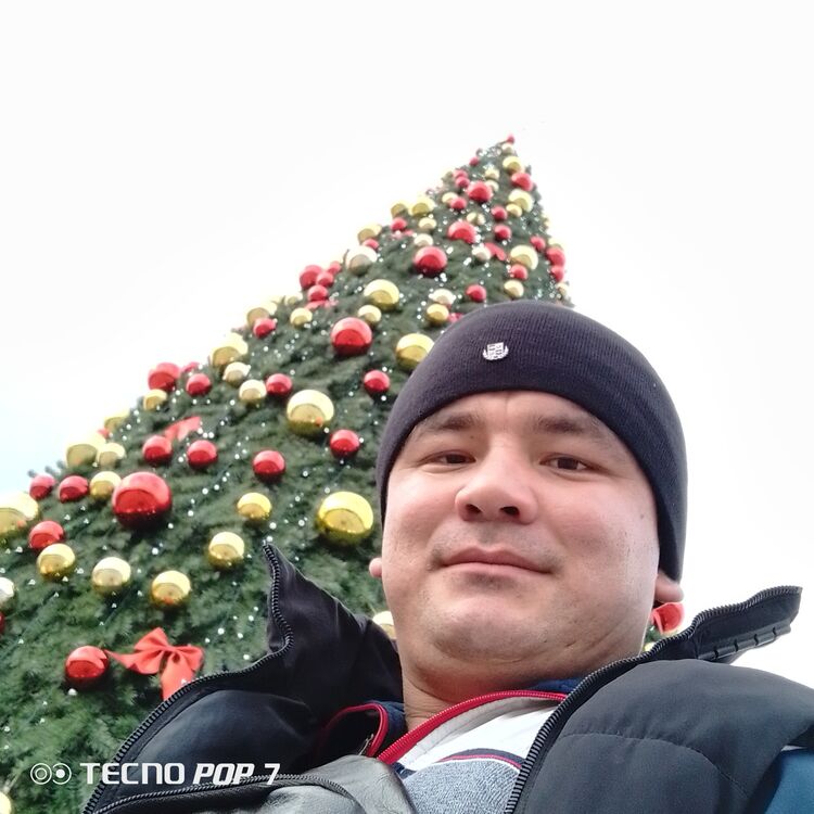 ���� 40231595 ������� ���������, 29 ���, ���� ���������� � �������