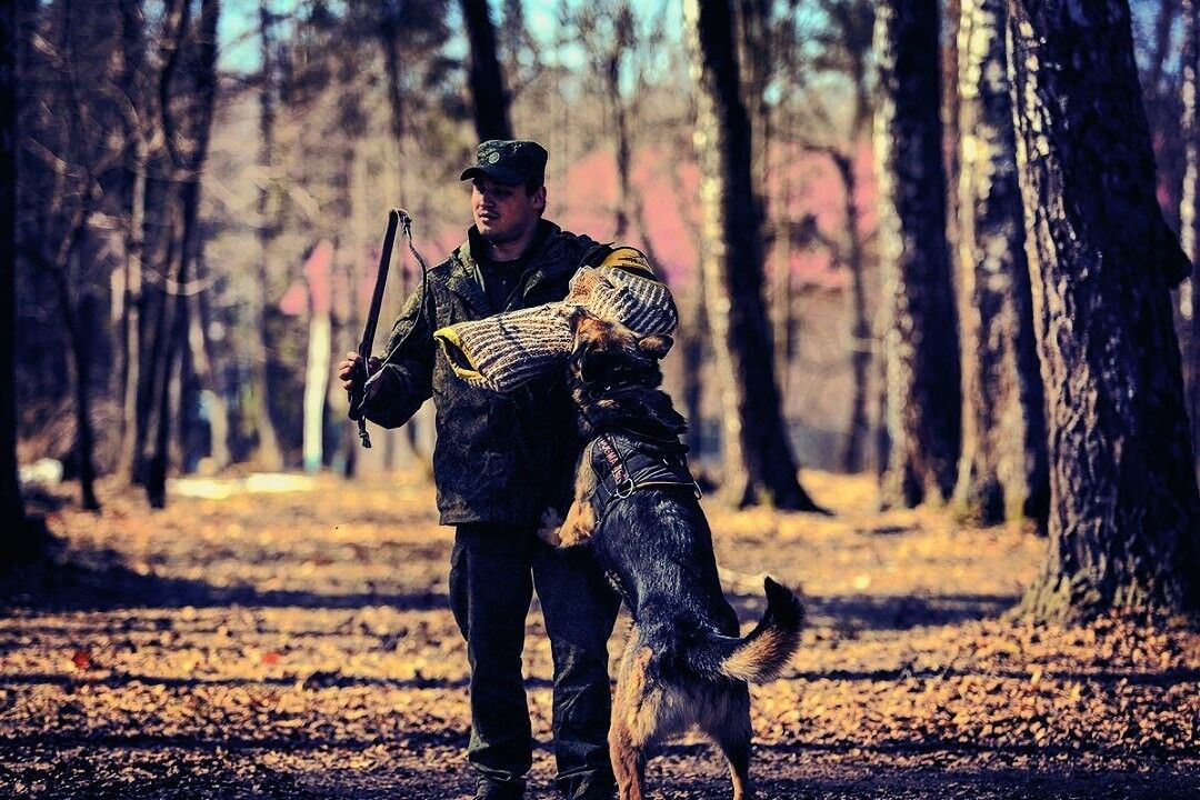 ���������� ������ ��������, ���� ������� ������, 31 ���, ������������ ��� ������, ����� � ���������, c�������� ���������