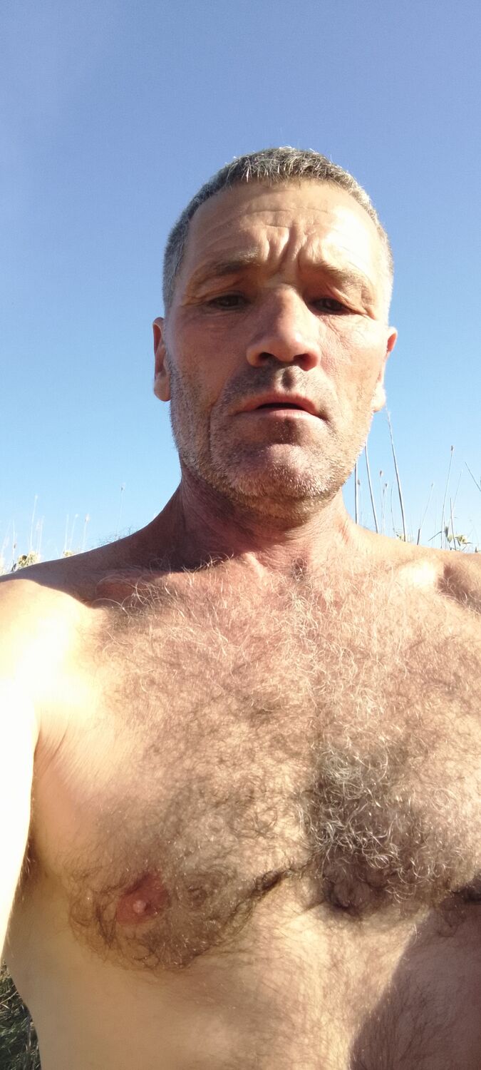 47230265  , 46 ,    