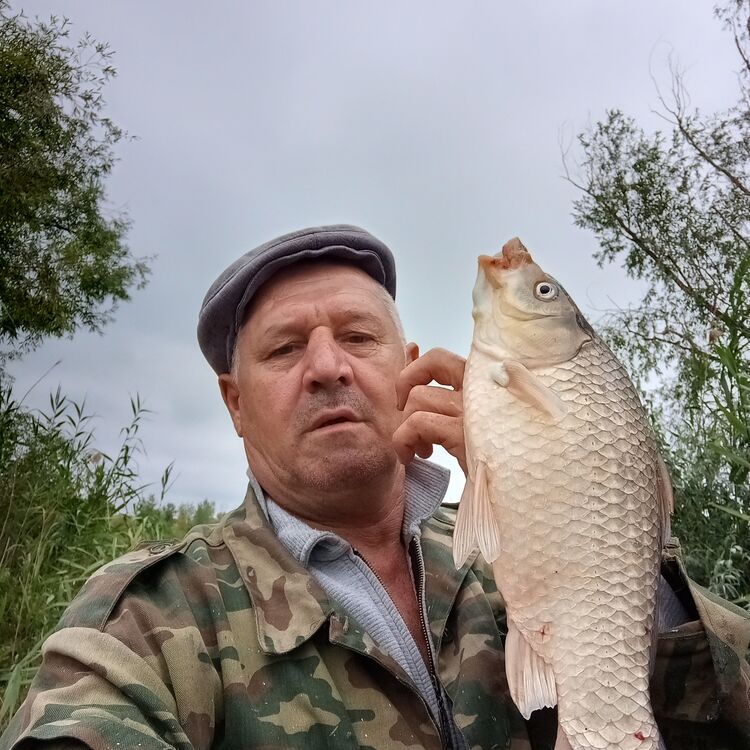  ,   , 51 ,   c 