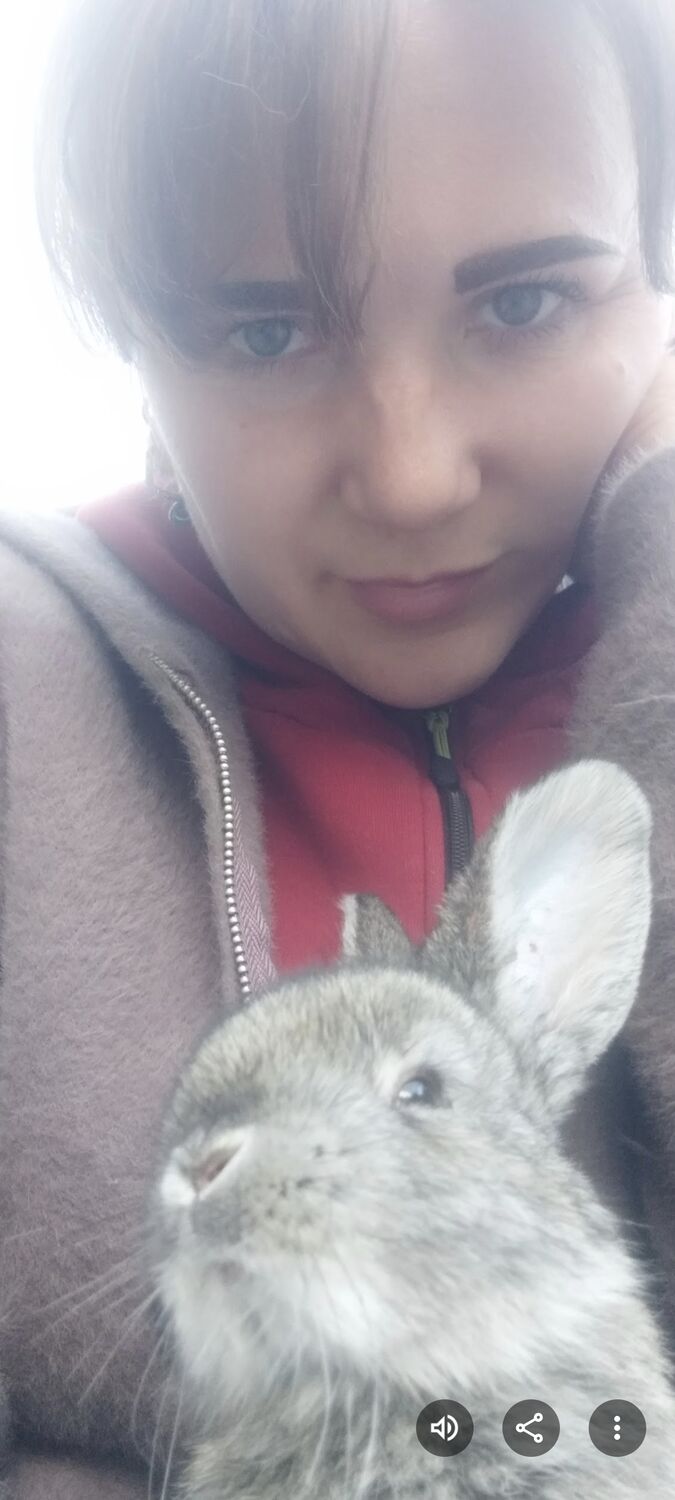 ���� 56194435 ������� Lis, 38 ���, ���� ���������� � �����������