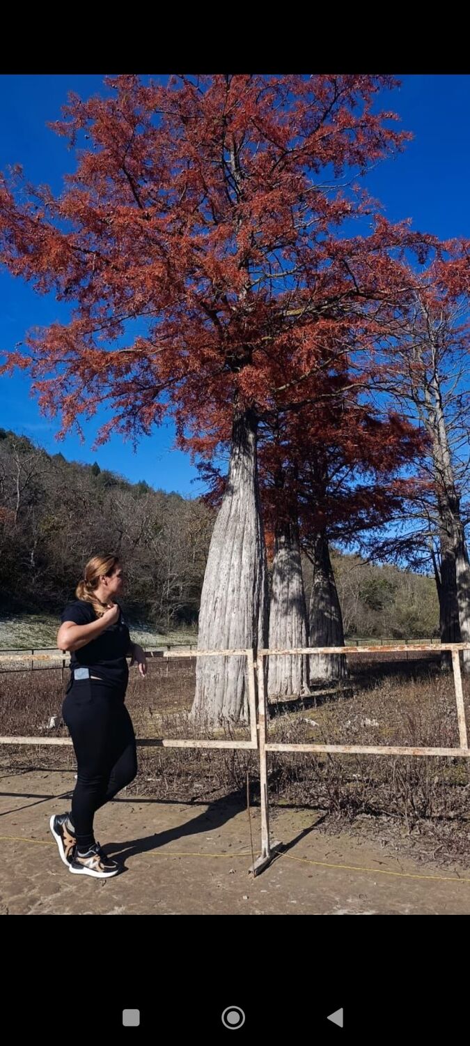 ���������� ���������, ���� ������� �����, 46 ���, ������������ ��� c�������� ���������