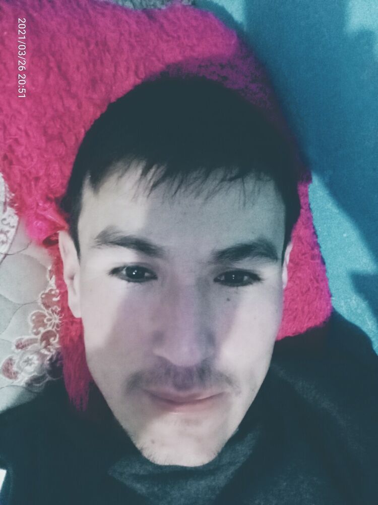 ���� 22556805 ������� ����, 36 ���, ���� ���������� � ������