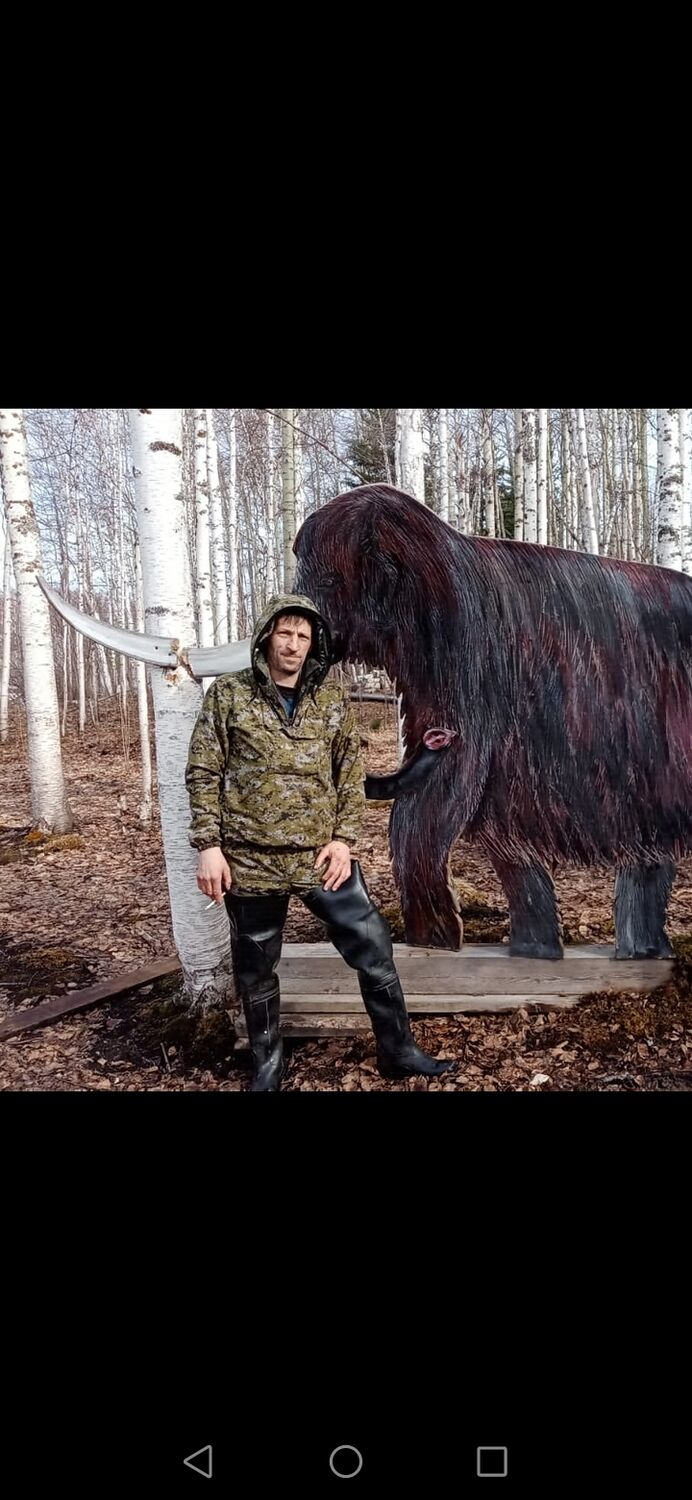 ���� 56197005 ������� ������, 44 ����, ���� ���������� � �����-���������