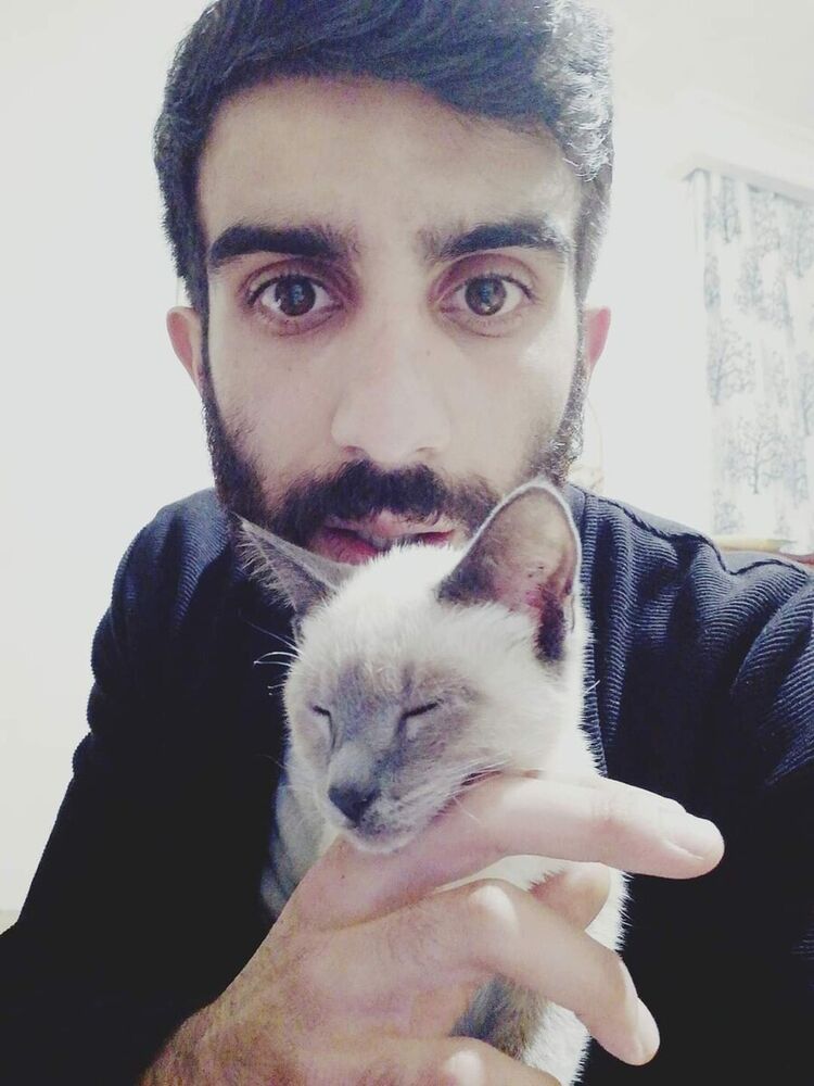 ���� 21240675 ������� Noe, 32 ����, ���� ���������� � �������