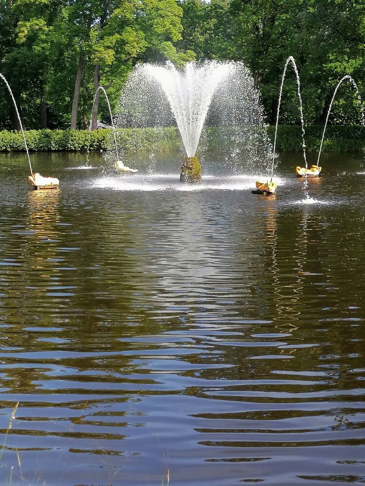 ���������� �����, ���� ������� �������, 58 ���, ������������ ��� ���������