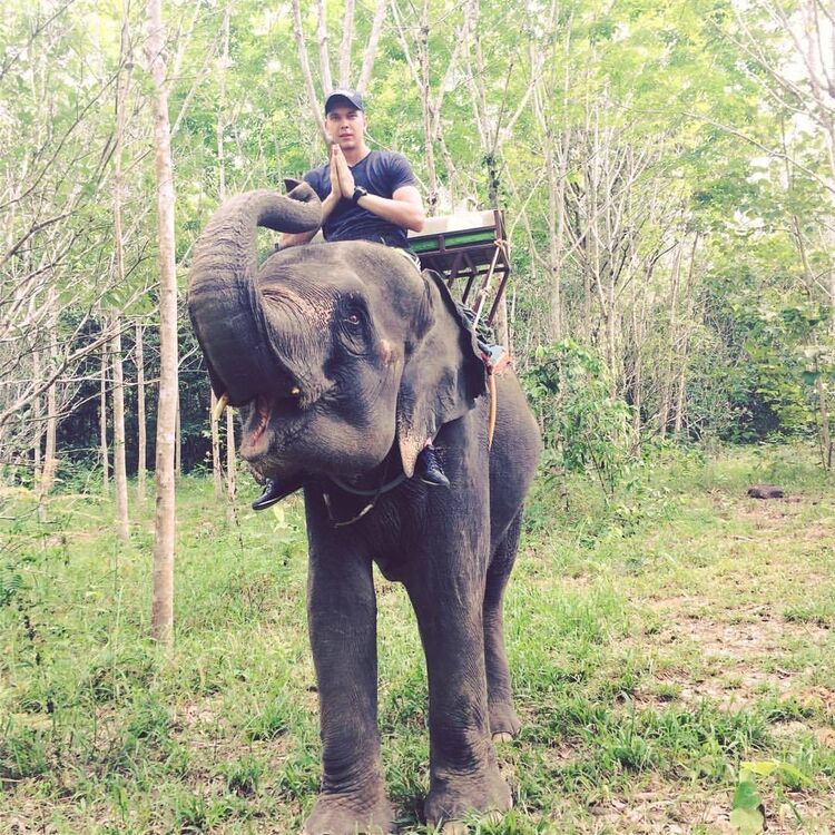 ���� 17411005 ������� ����, 34 ����, ���� ���������� � �������������