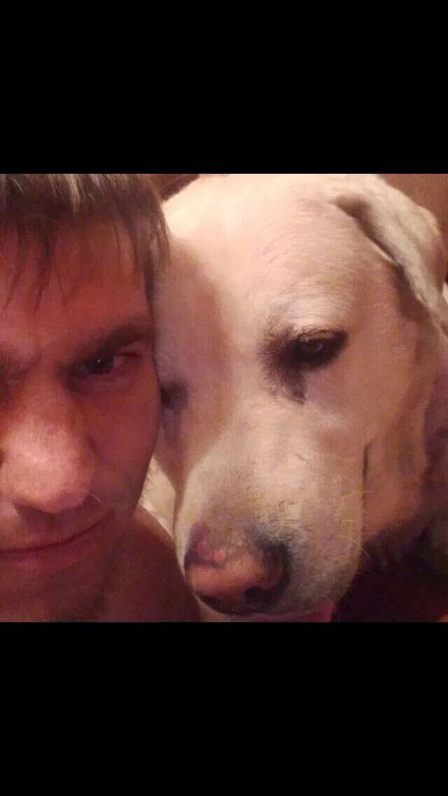 ���� 43687405 ������� �������, 31 ���, ���� ���������� � ������������