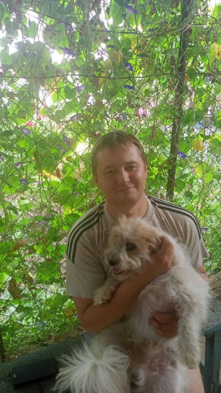 ���� 23590645 ������� ������, 38 ���, ���� ���������� � ��������������