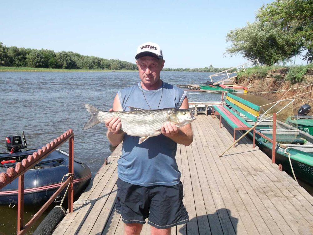 ���������� ������, ���� ������� �������, 57 ���, ������������ ��� c�������� ���������