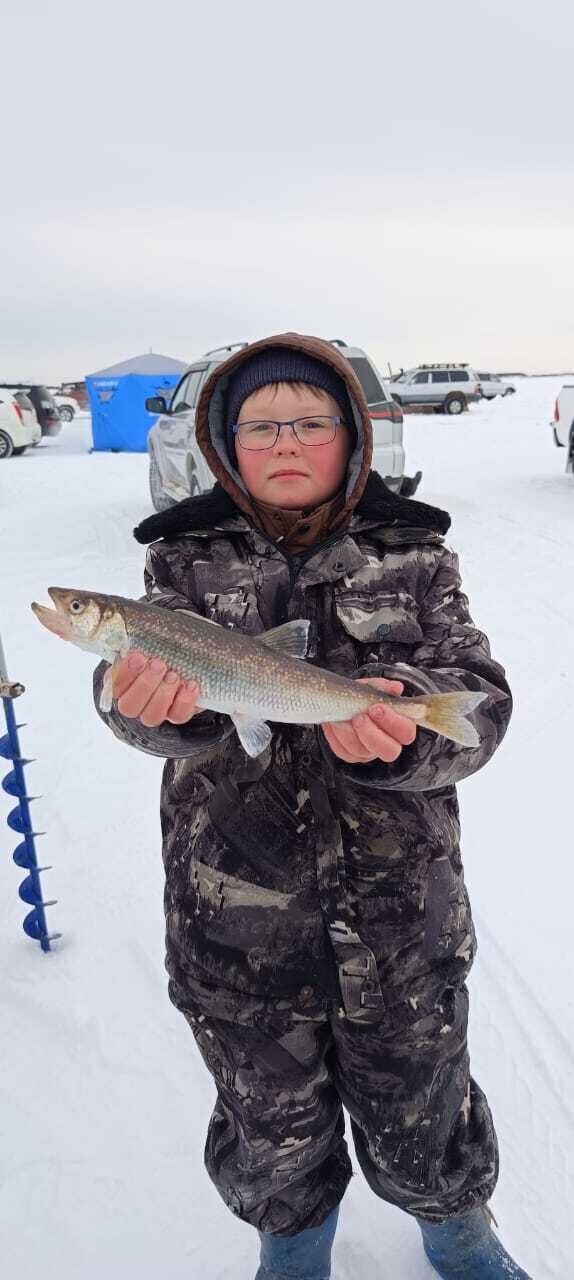 ���� 54832545 ������� ���������, 34 ����, ���� ���������� � ����-����������