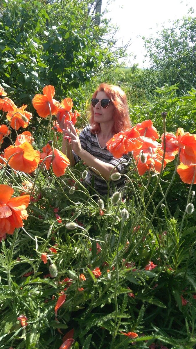 ���� 16162835 ������� ���, 52 ����, ���� ���������� � ���������